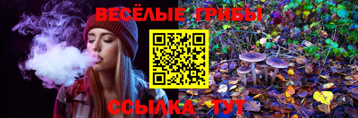 Вичуга  Галлюциногенные грибы мухоморы  Вход с VPN  Галлюциногенные грибы Psilocybine cubensis 