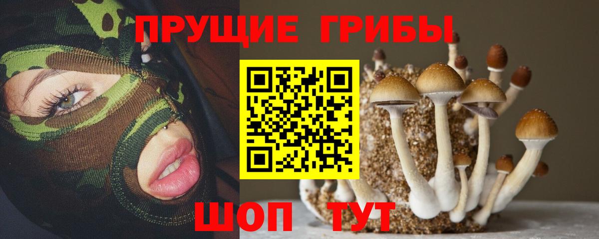 Галлюциногенные грибы MAGIC MUSHROOMS Вичуга